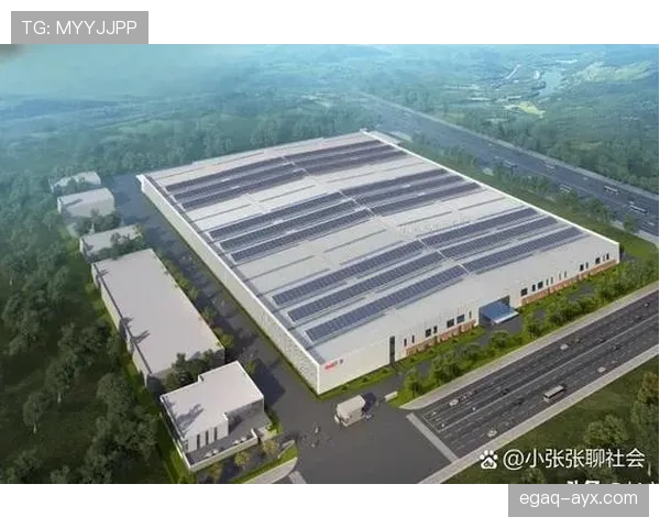 菲利克斯展现强劲潜力，有望引领行业未来发展新方向