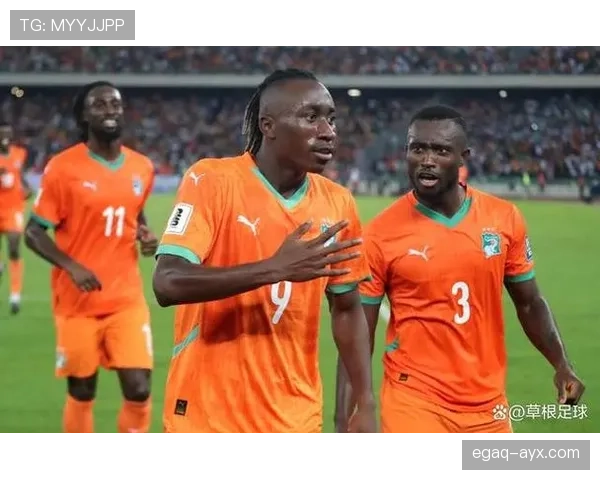 非洲杯MVP榜单揭晓，明星球员激烈角逐引关注